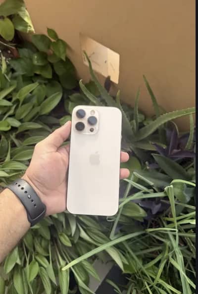 16 pro max Jv (urgent Sale _256 Gb