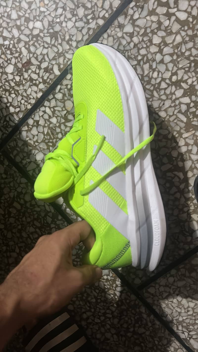 Adidas 1