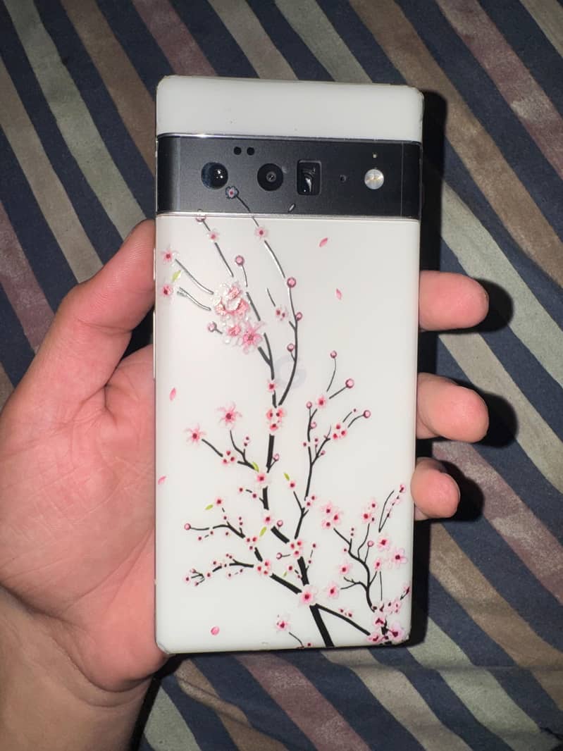 Google Pixel 6 Pro 0