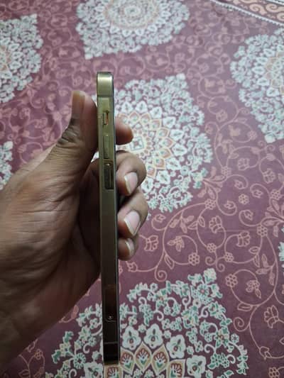 Apple iPhone 12 Pro