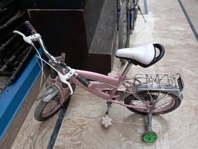 Cycles