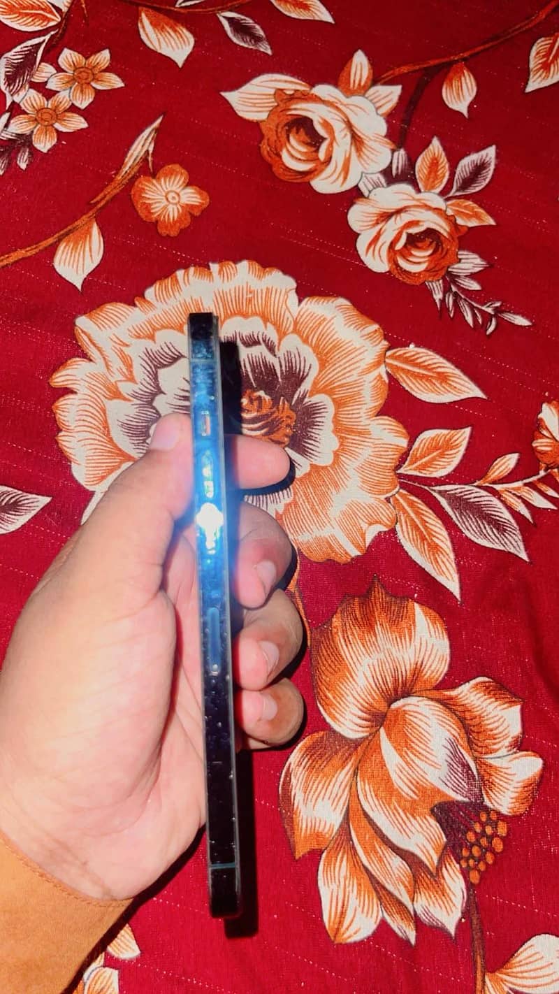 Apple iPhone 12 Pro Max 3