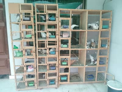 wooden cages (exchange possible)