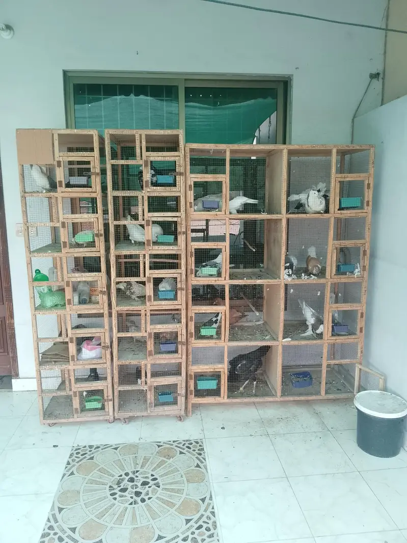 wooden cages (exchange possible) — photo 2