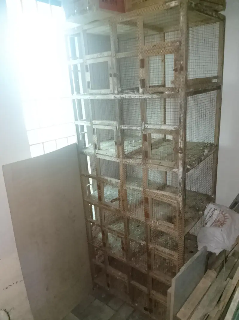 wooden cages (exchange possible) — photo 3