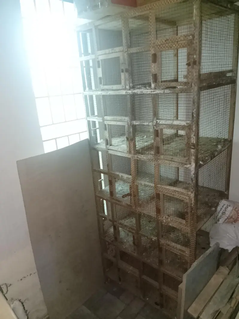 wooden cages (exchange possible) — photo 4