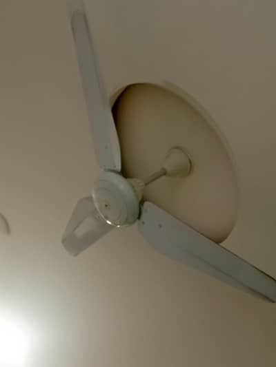SK fan 100% copper fan super deluxe model 56" size full heavy motor