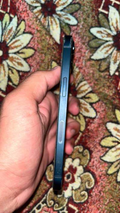 Apple iPhone 13 10/10