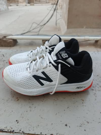 NB spikes