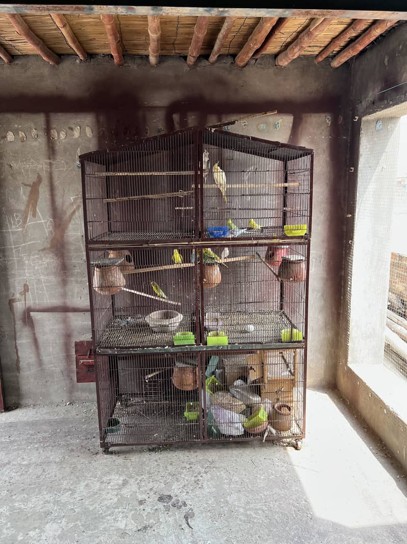2 Cage Available 0