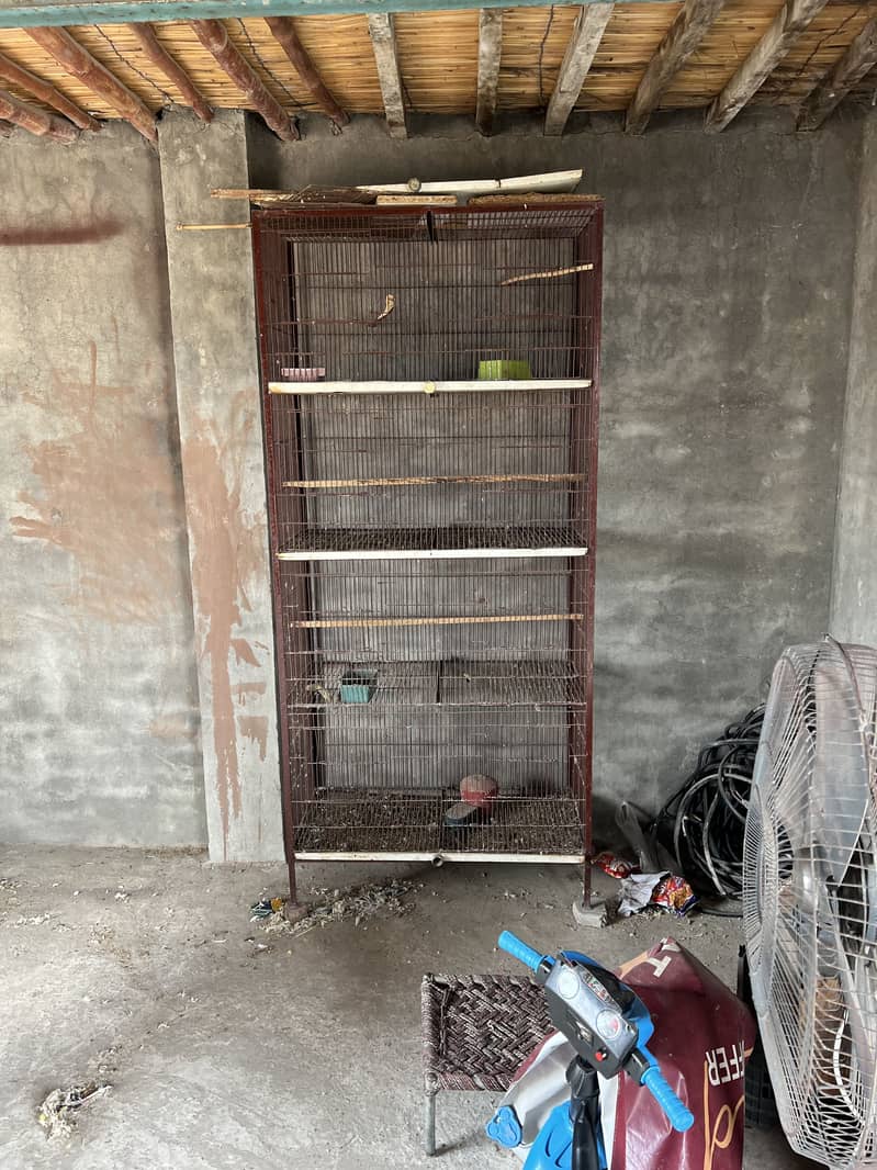 2 Cage Available 1