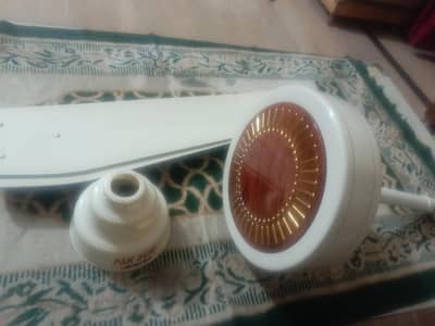 pak sun fan