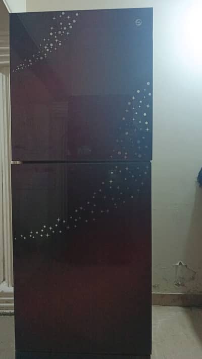 PEL Refrigerator 13cu ft Glass Door