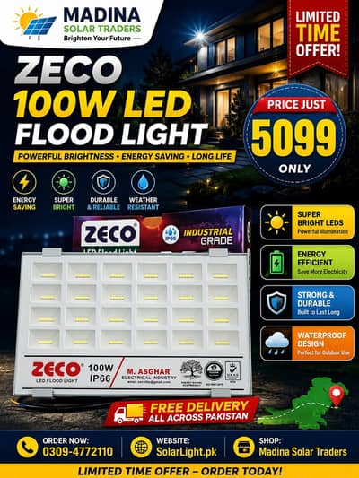 Zeco 100 Watt Flood Light