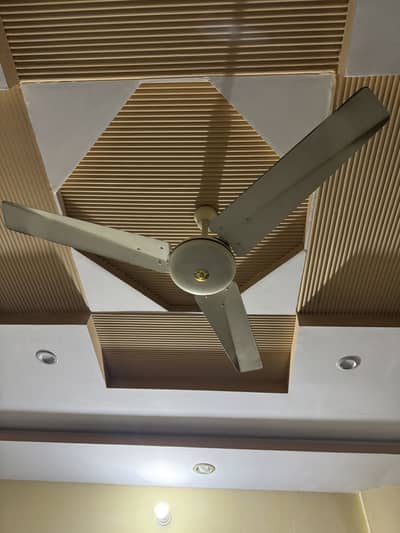 Indus fan