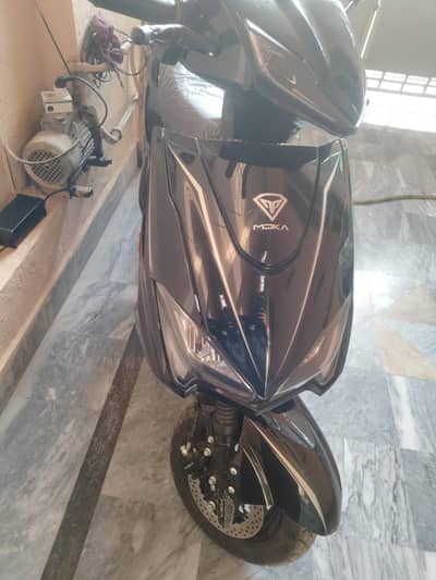 Modka electric scuti
