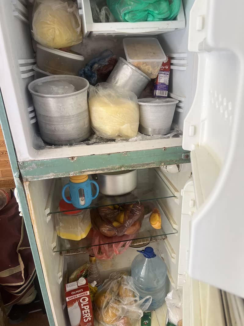 Samll frige 1