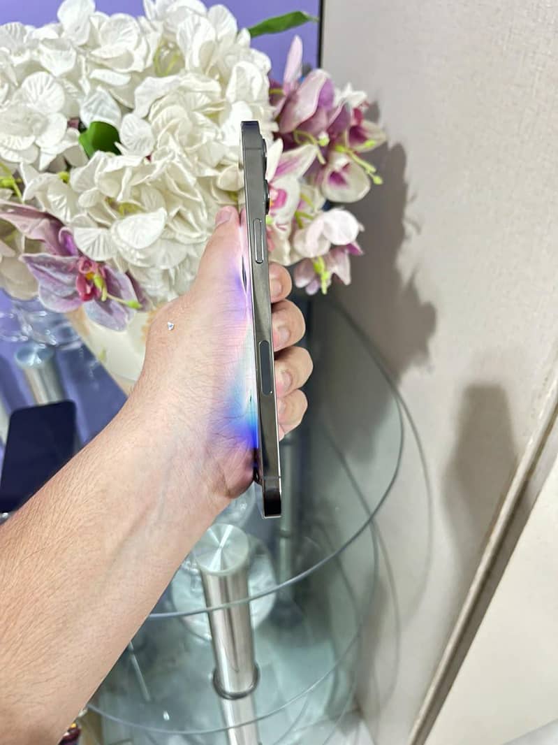 Apple iPhone 12 Pro Max 2