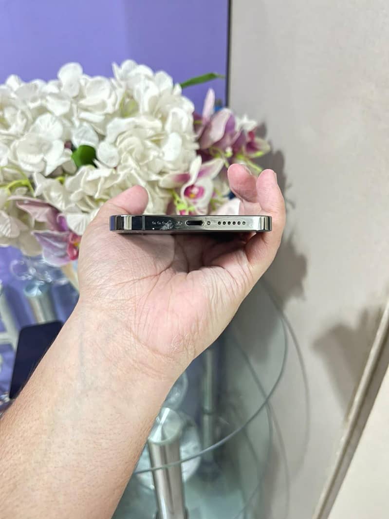 Apple iPhone 12 Pro Max 3