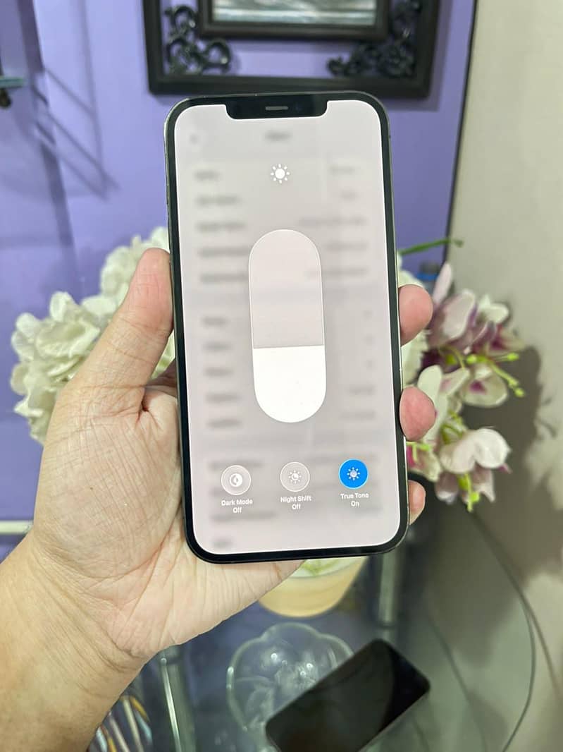 Apple iPhone 12 Pro Max 5