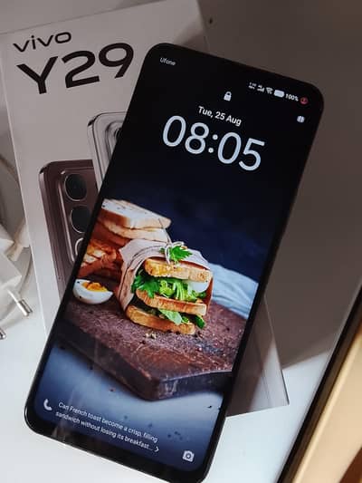 Vivo Y29