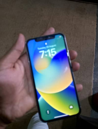 Apple iPhone X