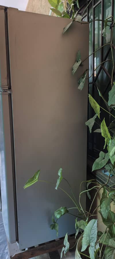 Used Fridge for sale