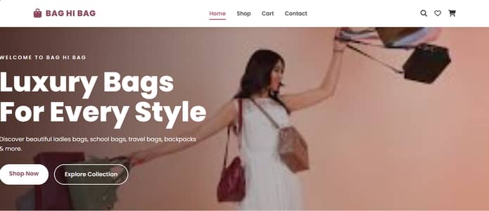 Professional Website Development