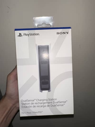 Song dual sense charging dock