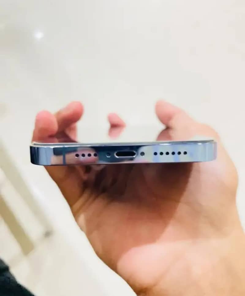 Apple iPhone 13 Pro Max 1