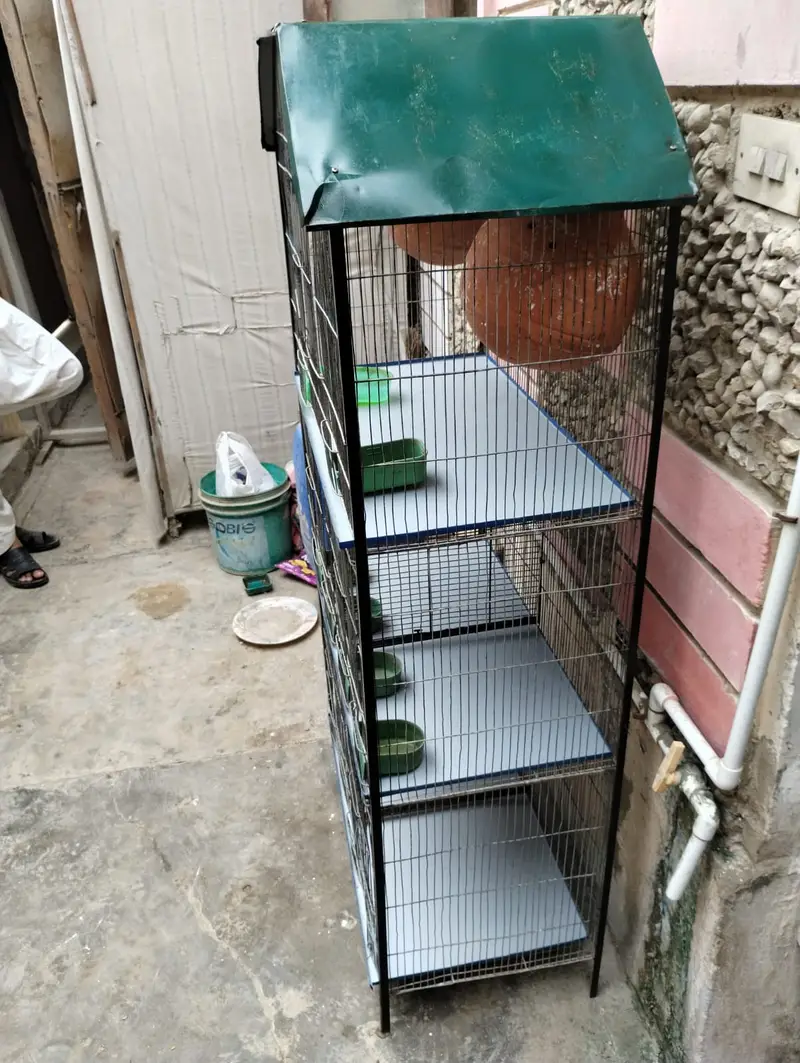 5 Portions Bird Cage Good condition for sale — photo 5