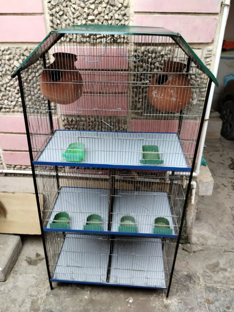 Bird cage for sale good condition