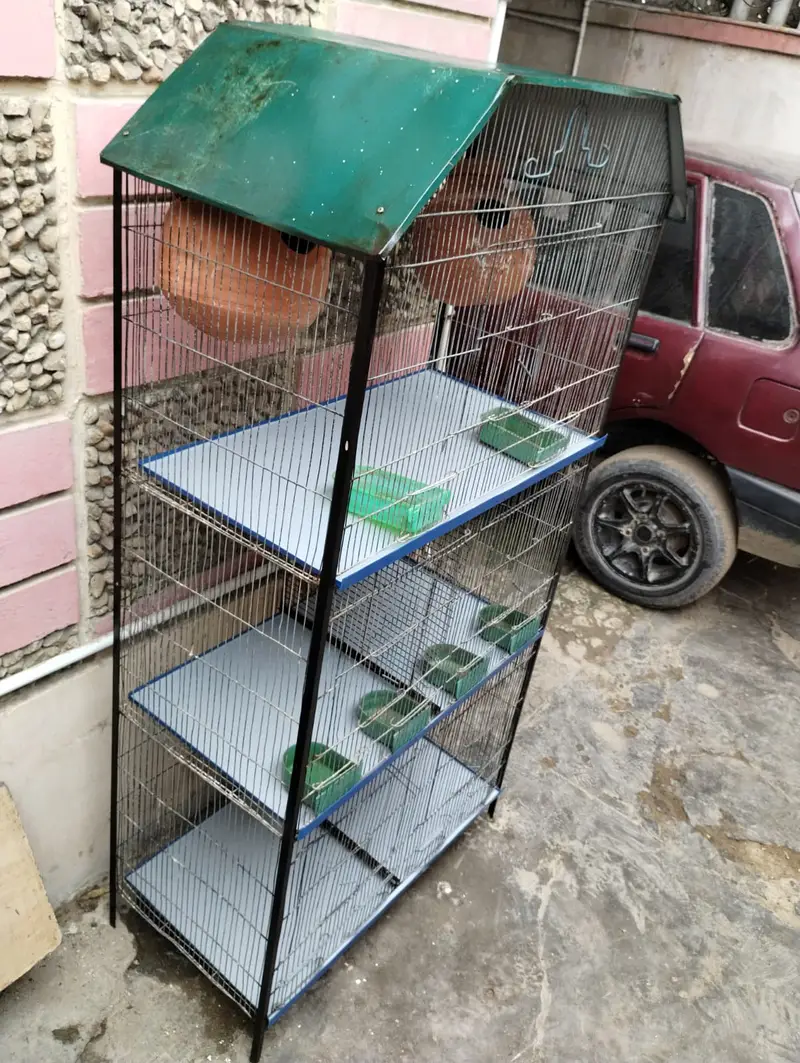 Bird cage for sale good condition — photo 2