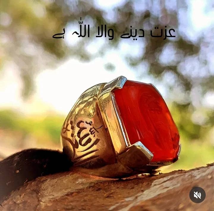 Aqeeq 5