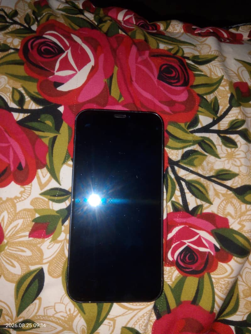 iPhone 12 0