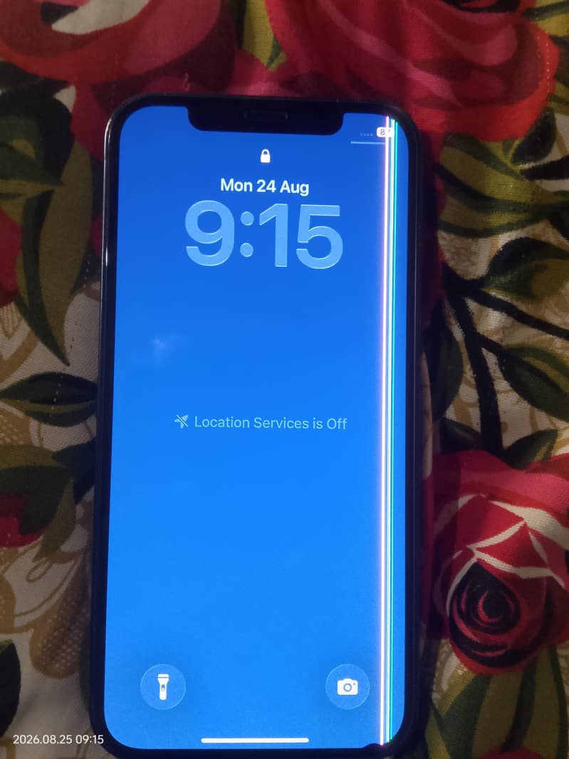 iPhone 12 1
