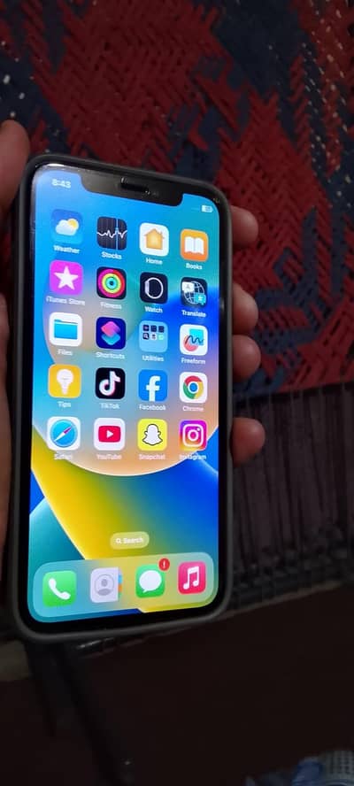 Apple iPhone X