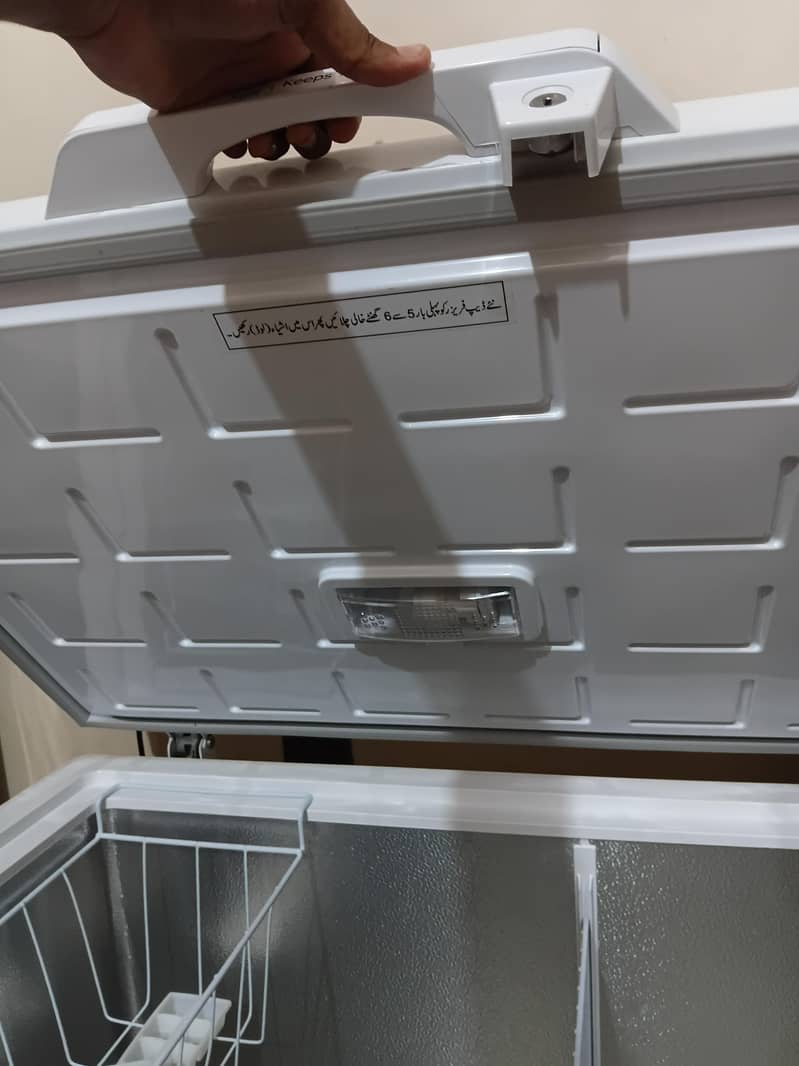 D freezer 3