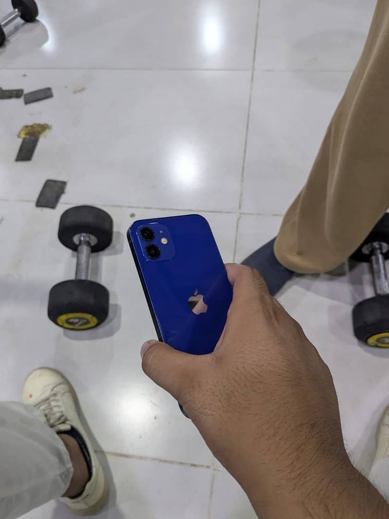 Apple iPhone 12 1
