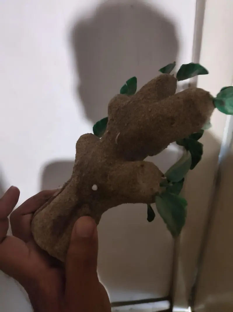 aquarium decorations per PCs 1500 — photo 10