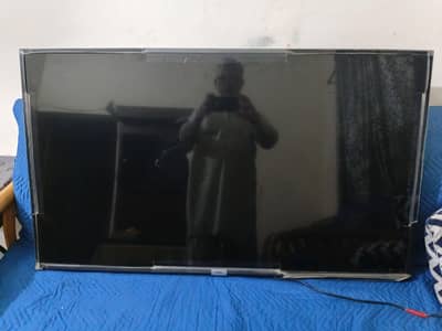 49" TCL LED (03335124520]