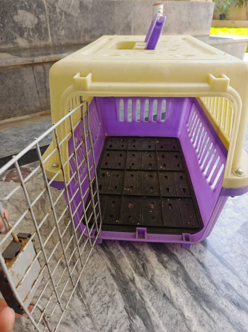 Kitten cage 1