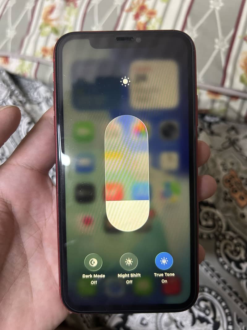 Apple iPhone 11 2