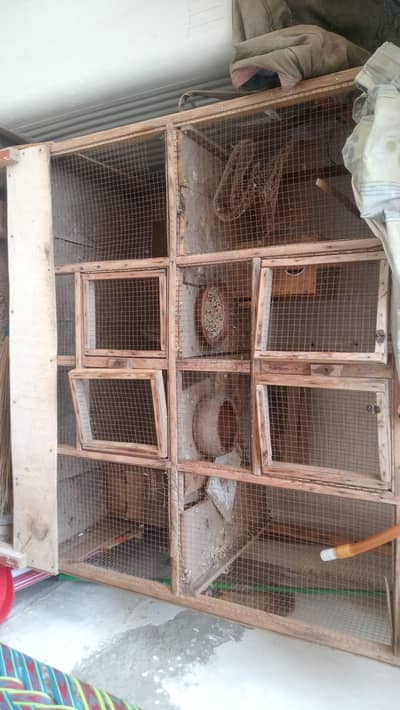 birds cage 2 paration