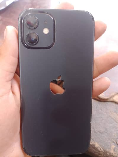 iPhone 12