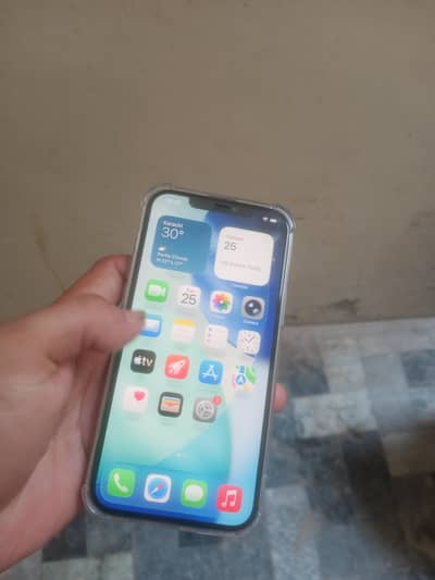 Apple iPhone 12 Pro Max
