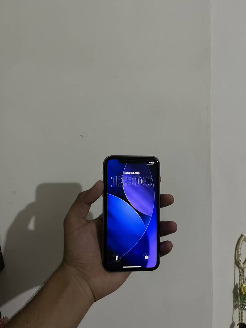 Apple iPhone 11 0