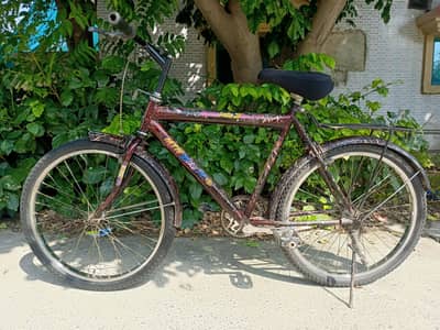 24" Mountain Bike