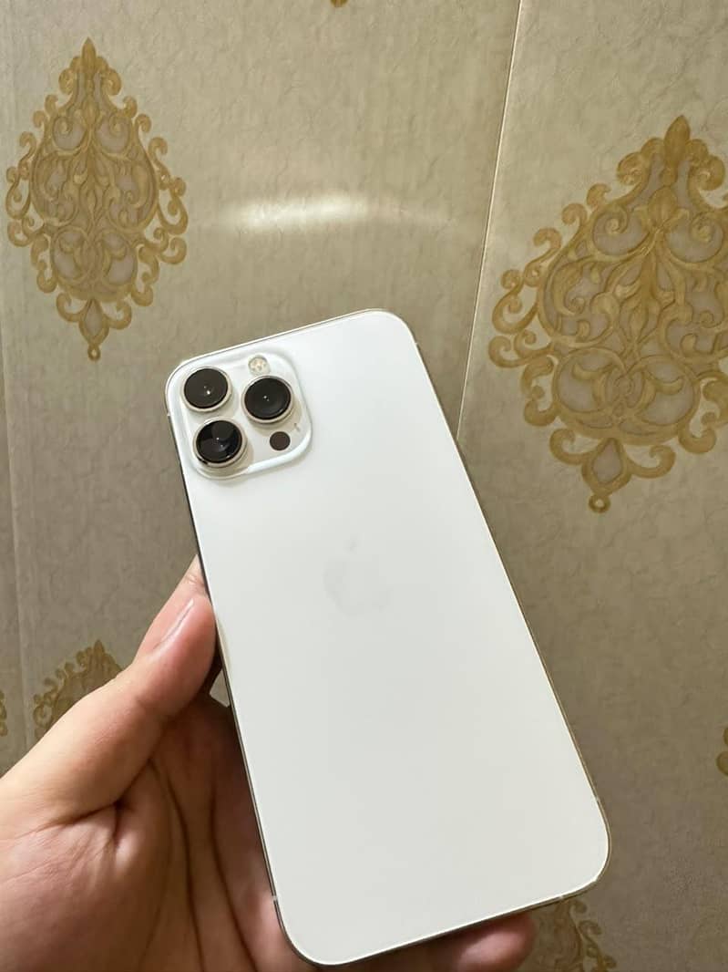 Apple iPhone 13 Pro Max 0