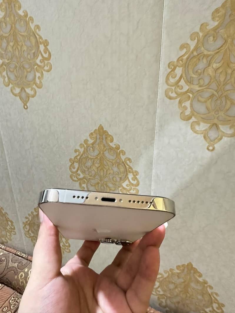 Apple iPhone 13 Pro Max 1